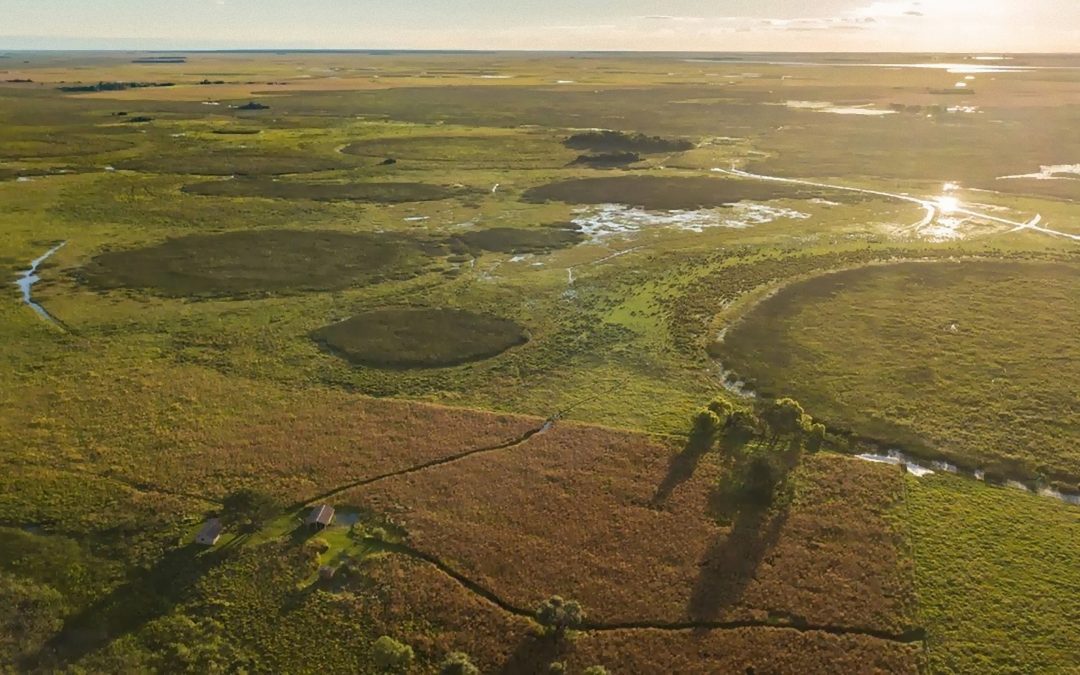 Por la Ruta del Mariscador: Por los Esteros del Iberá